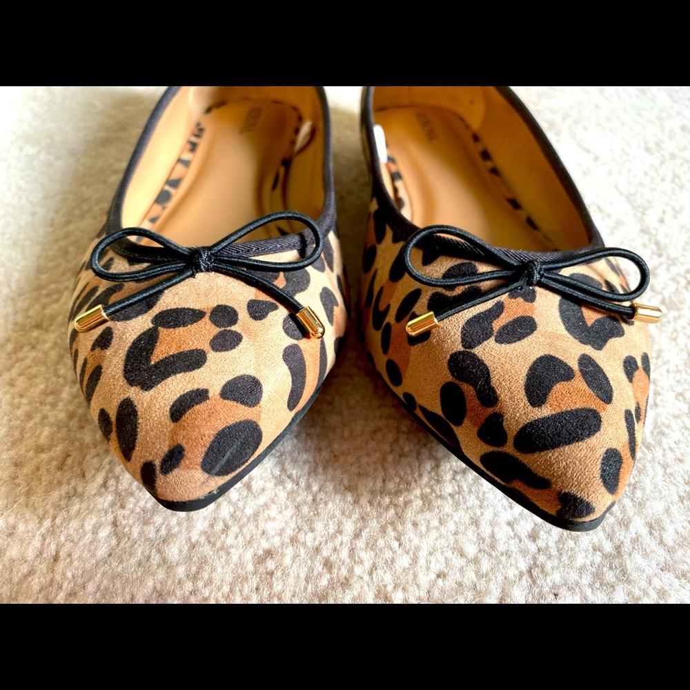 Medina Leopard/Cheetah flats - Picture 4 of 5